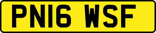 PN16WSF