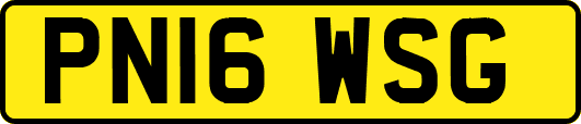 PN16WSG