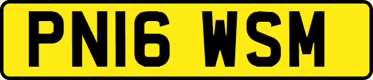 PN16WSM