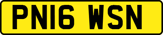 PN16WSN