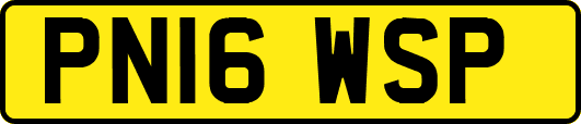PN16WSP