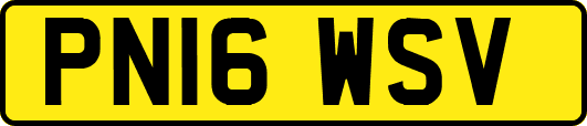 PN16WSV