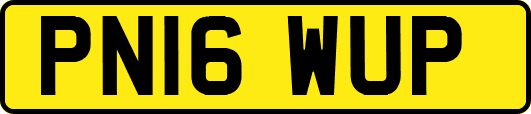 PN16WUP