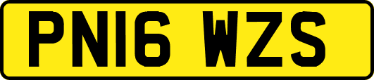 PN16WZS