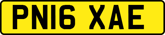 PN16XAE