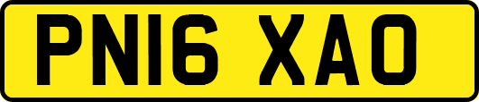 PN16XAO