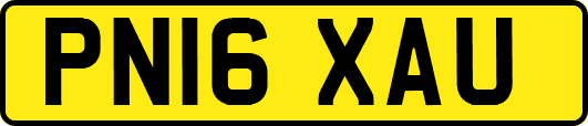 PN16XAU