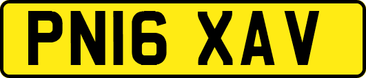 PN16XAV