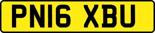 PN16XBU