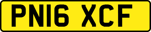 PN16XCF