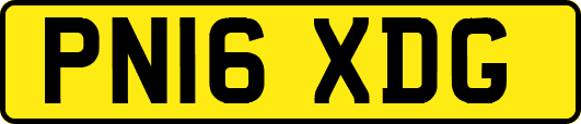 PN16XDG