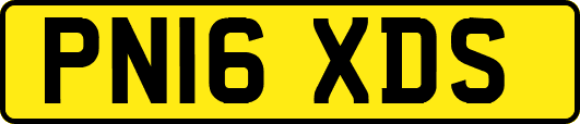 PN16XDS