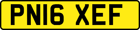PN16XEF