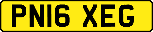 PN16XEG