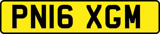 PN16XGM