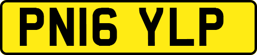 PN16YLP