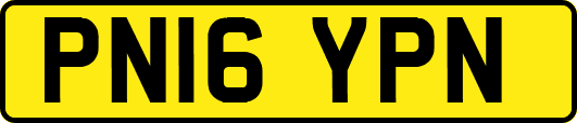 PN16YPN