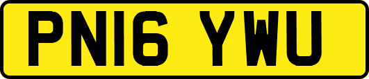 PN16YWU