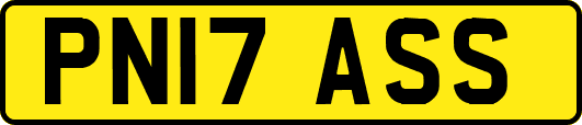 PN17ASS