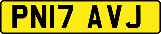 PN17AVJ