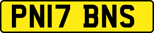 PN17BNS