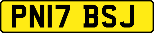 PN17BSJ