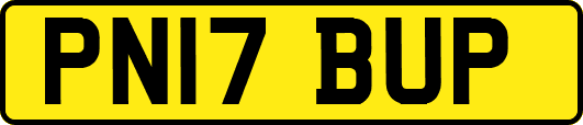 PN17BUP