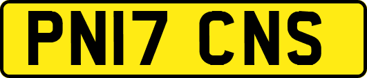 PN17CNS