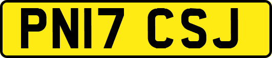 PN17CSJ