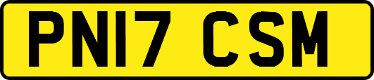 PN17CSM