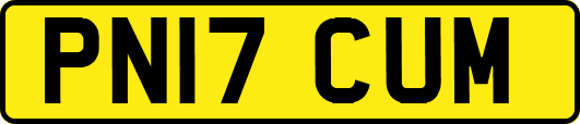 PN17CUM