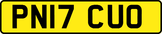 PN17CUO