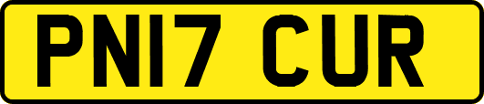 PN17CUR
