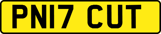 PN17CUT