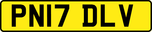 PN17DLV