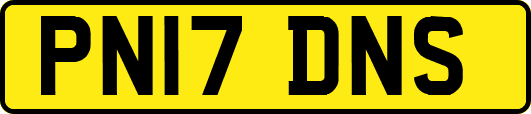 PN17DNS