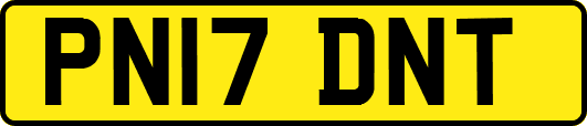 PN17DNT