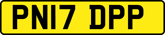 PN17DPP