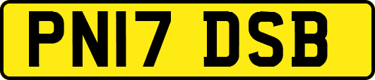 PN17DSB