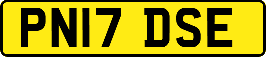 PN17DSE