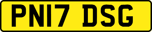 PN17DSG