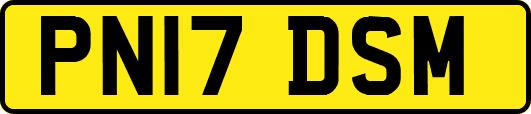 PN17DSM