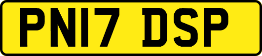 PN17DSP