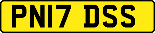 PN17DSS