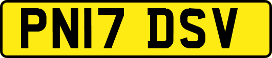 PN17DSV