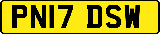 PN17DSW