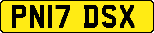 PN17DSX