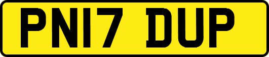 PN17DUP