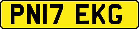PN17EKG