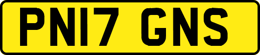 PN17GNS